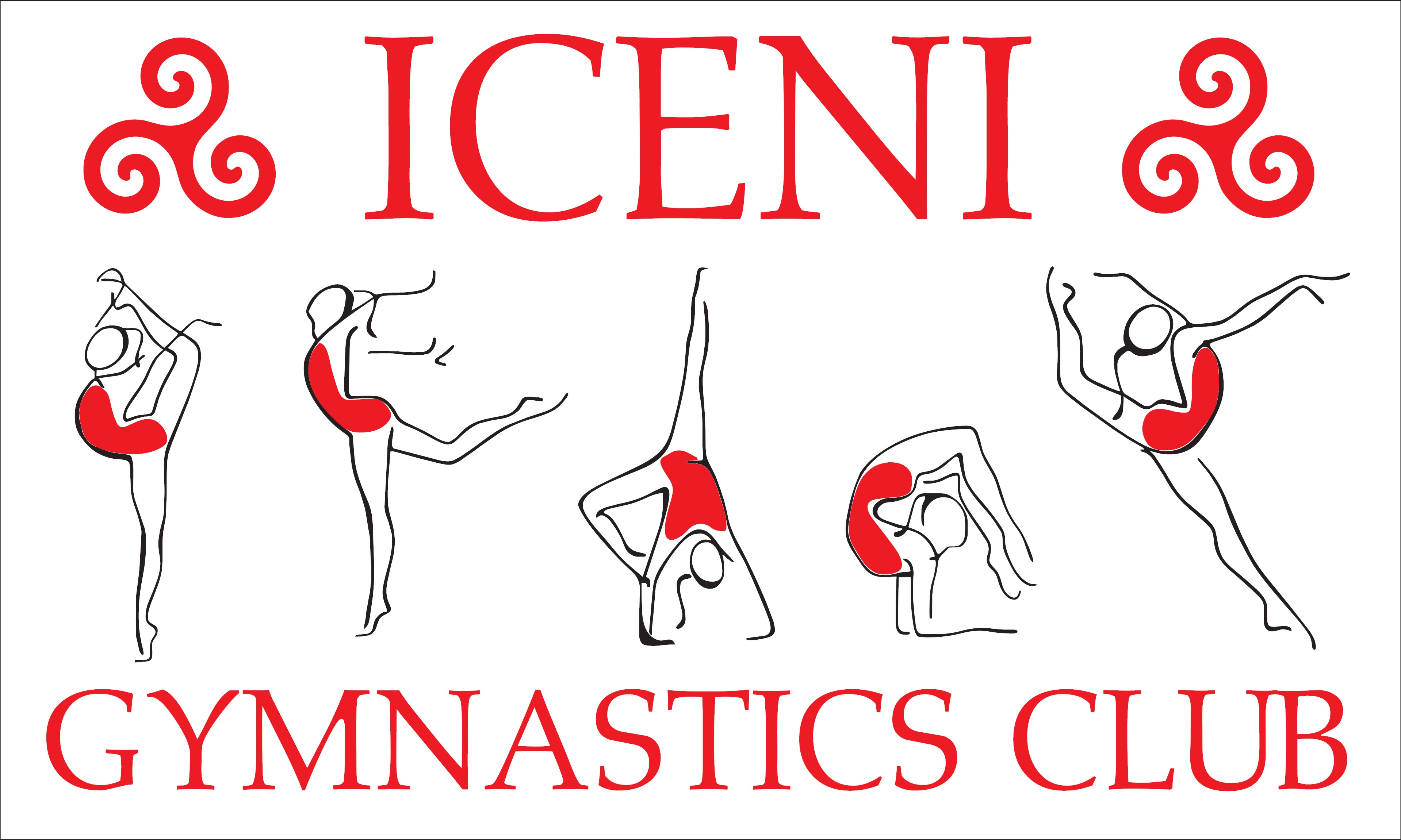 icenigymnasticsclub.co.uk